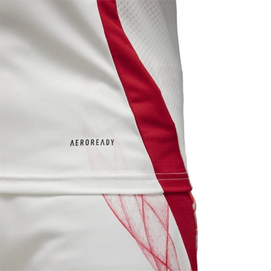 Japan -2024 Away Kit