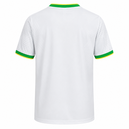RIO - Brazil Concept Jersey